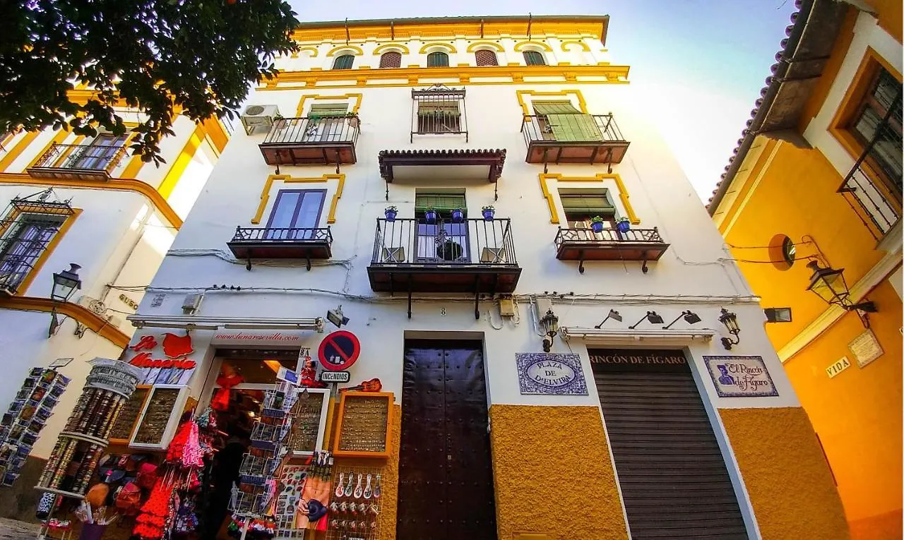 Apartamento Plaza De Dona Elvira 8 塞维利亚 西班牙